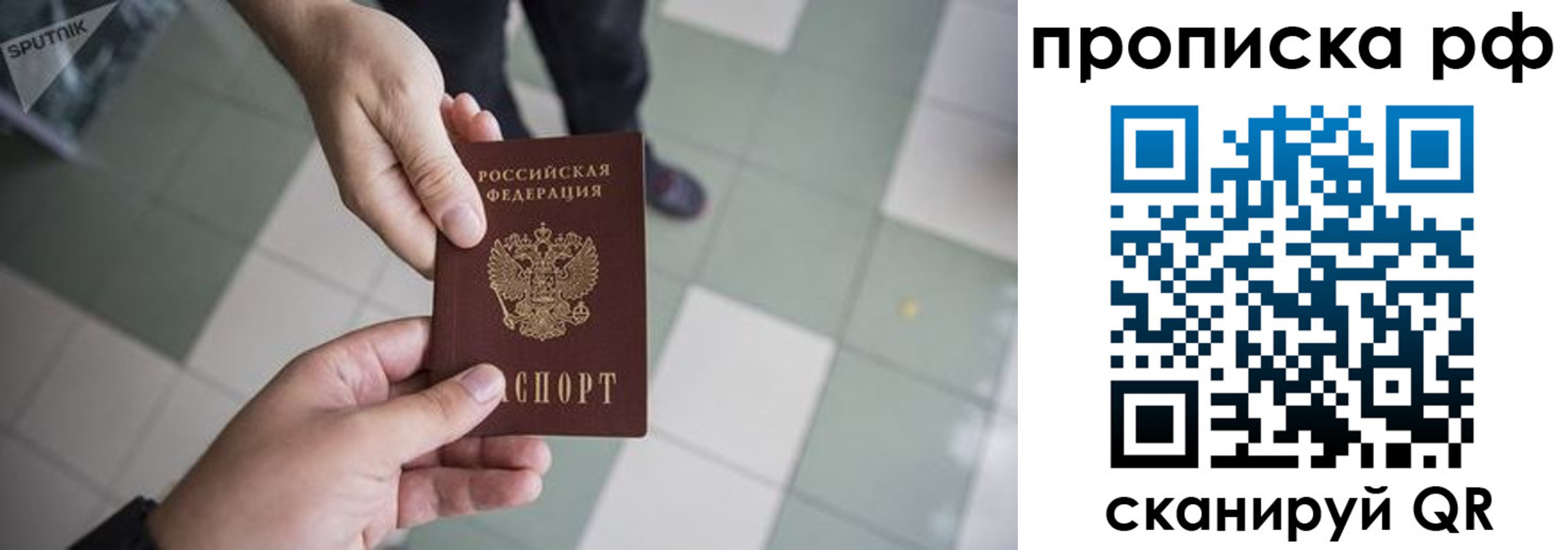 прописка гарантия в Александровске-Сахалинском